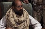 پسر «معمر قذافی» چگونه کشته شد؟ پسر «معمر قذافی» چگونه کشته شد؟
