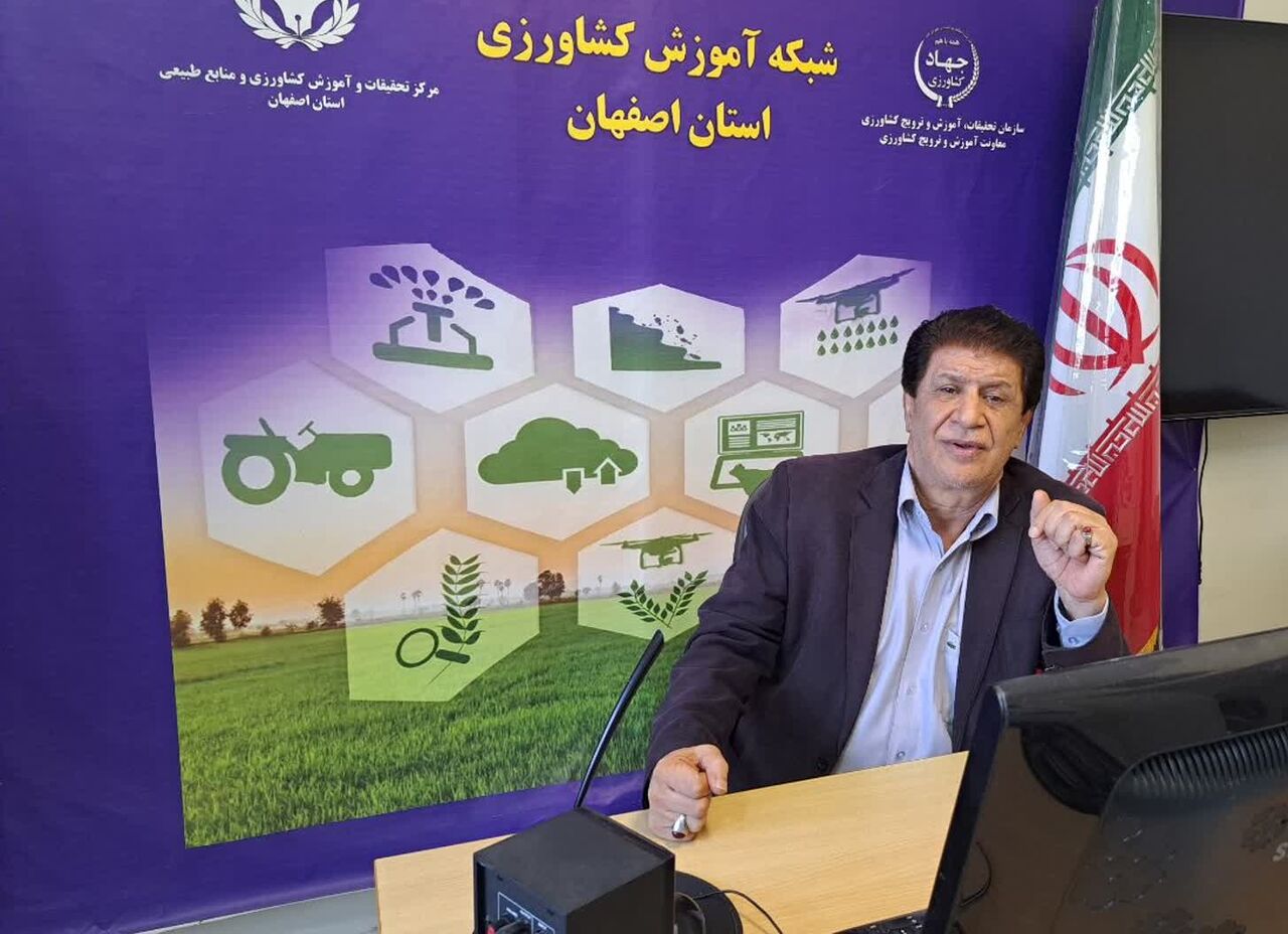 بذرهای دانش‌بنیان سیب زمینی، رقیبی جدی برای نمونه‌های خارجی است