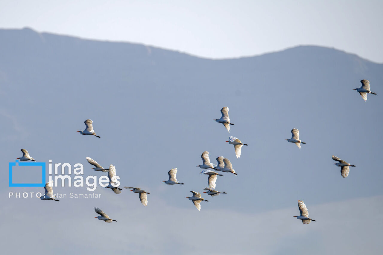 جایی برای فرود نیست