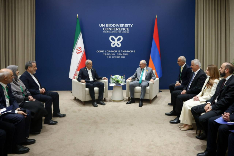 پزشکیان: برنامه راهبردی و بلندمدت همکاری‌های مشترک تجاری و اقتصادی ایران و ارمنستان تدوین می‌شود