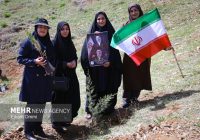 طرح کاشت یک میلیارد درخت در نیمه راه؛ بقای نهالها مهمتر از آمار کاشت طرح کاشت یک میلیارد درخت در نیمه راه؛ بقای نهالها مهمتر از آمار کاشت
