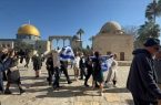 پارلمان عربی درباره برافراشتن پرچم اسرائیل در مسجدالاقصی هشدار داد پارلمان عربی درباره برافراشتن پرچم اسرائیل در مسجدالاقصی هشدار داد
