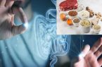 تاثیر شگفتآور یک ماده موجود در غذاهای پروتئینی بر ترمیم روده تاثیر شگفتآور یک ماده موجود در غذاهای پروتئینی بر ترمیم روده