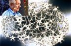 عامل زوال عقل و آلزایمر، «ترافیک پروتئین» است عامل زوال عقل و آلزایمر، «ترافیک پروتئین» است