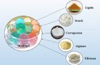 هیدروژلهای طبیعی؛ از ترمیم زخم تا تصفیه آب هیدروژلهای طبیعی؛ از ترمیم زخم تا تصفیه آب